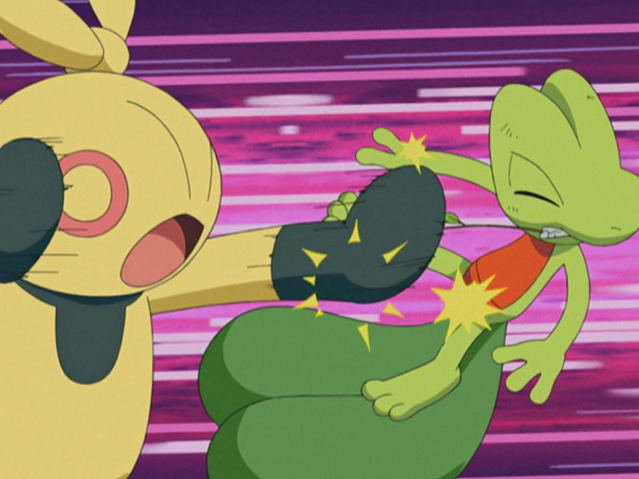 File:Brawly Makuhita Arm Thrust.png