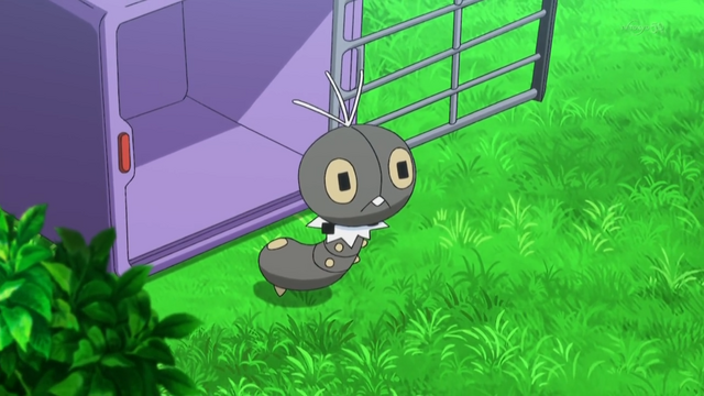 File:Scatterbug XY012.png