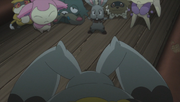 XY091 7