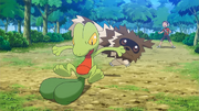 ORAS 6