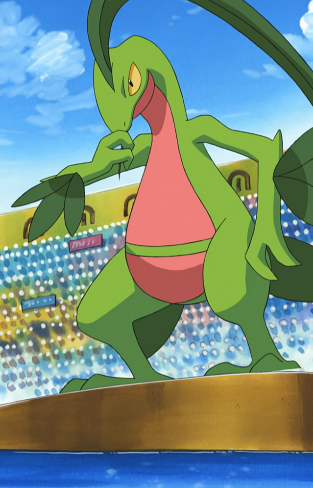 File:Ash Grovyle.png