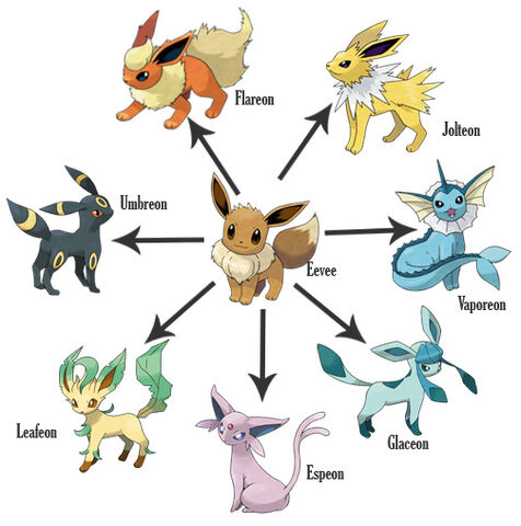 Файл:Eevee.jpg