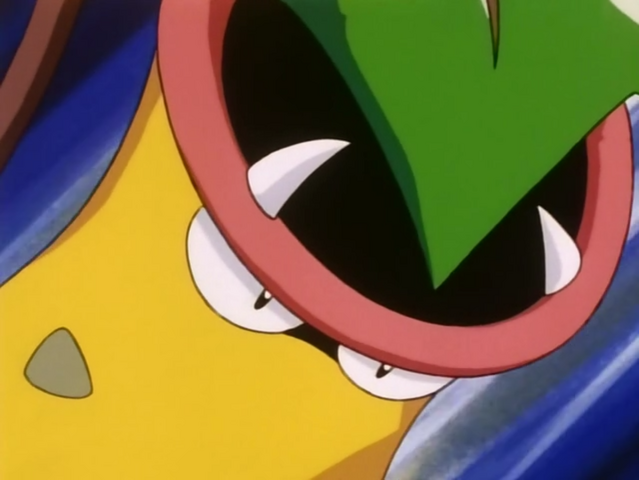 File:James Victreebel Double-Edge.png