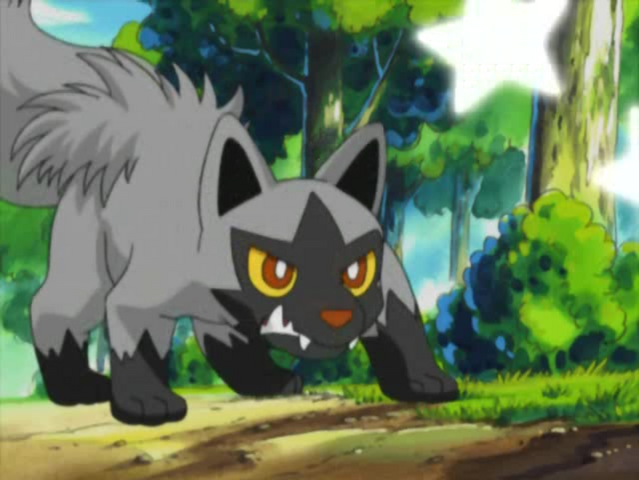 File:Gym Badge Thief Poochyena.png