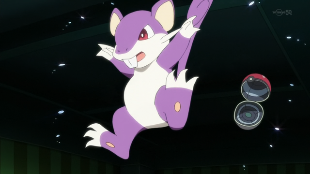 File:Red Rattata PO.png