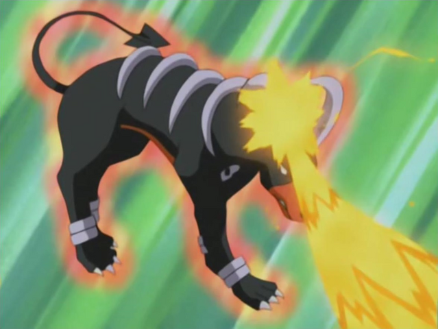 File:Harrison Houndoom Counter.png