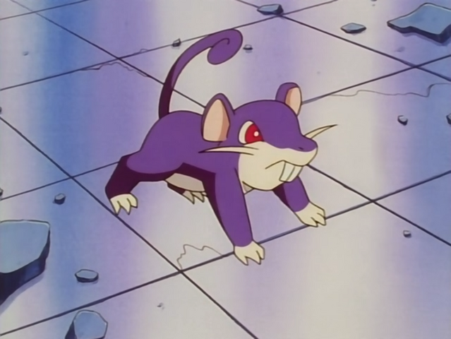 File:Nurse Joy Rattata.png