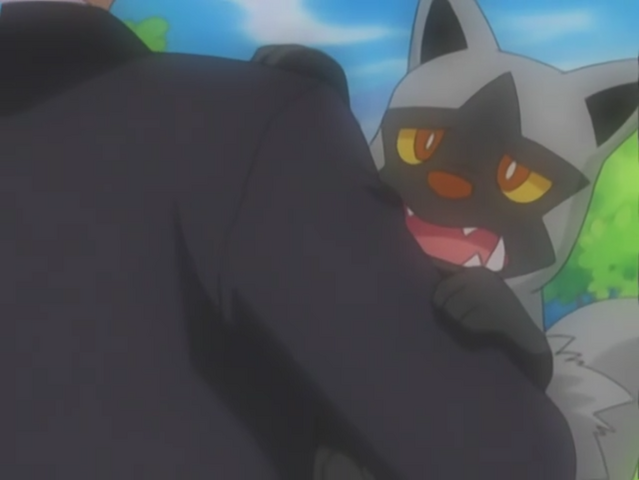 File:Mrs Grimm Poochyena.png