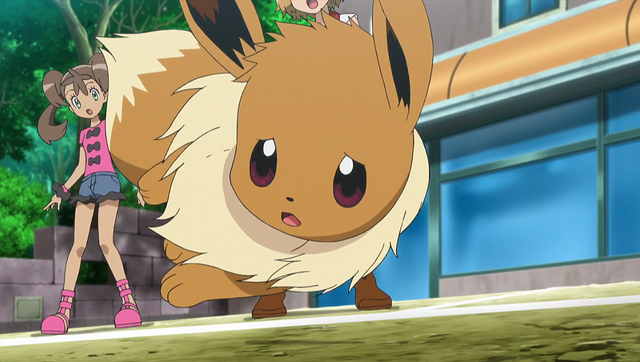 File:XY093 13.png