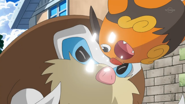 File:Ash Pignite Tackle.png