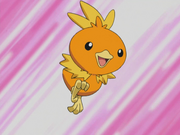 May Torchic