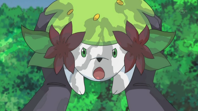 File:Shaymin Seed Flare.png