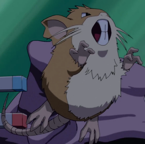 File:Team Rocket Raticate.png