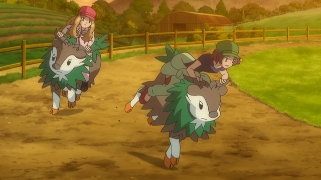 File:Serena Grace Skiddo.png