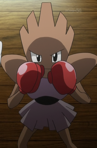 File:Kiyo Hitmonchan Origins.png