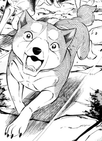 File:Joe2.png