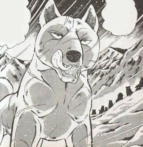 File:Trip wolf13.jpg
