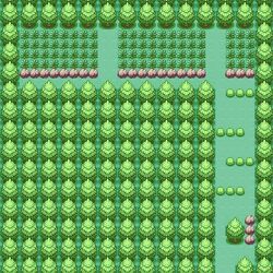 Route6
