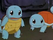 Squirtle