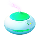 Incense