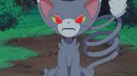 Plik:Furia Glameow.jpg
