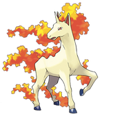 Rapidash.png