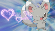Minccino banner