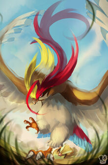 Pidgeot banner