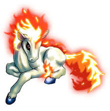Ponyta banner