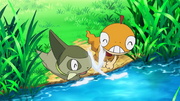 Axew Scraggy playing.png
