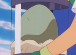 Larvitar Egg.png