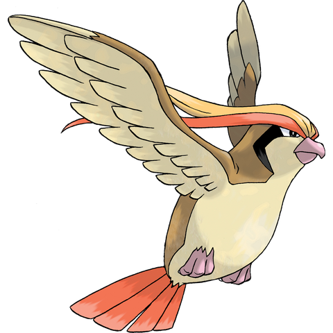 Plik:Pidgeot.png