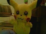 Images (6)
