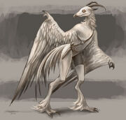Gallackon