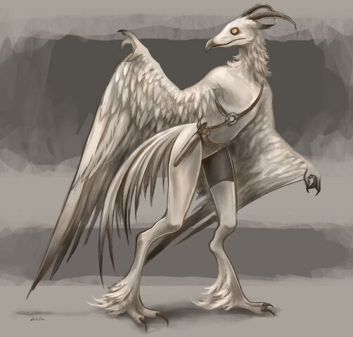 File:Gallackon.jpg