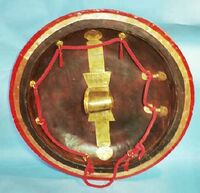 Shield back