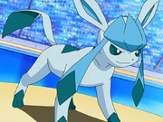 Trainer's Glaceon