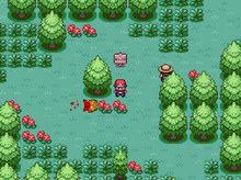 Middle of Fucksia Woods