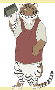 Chara tora