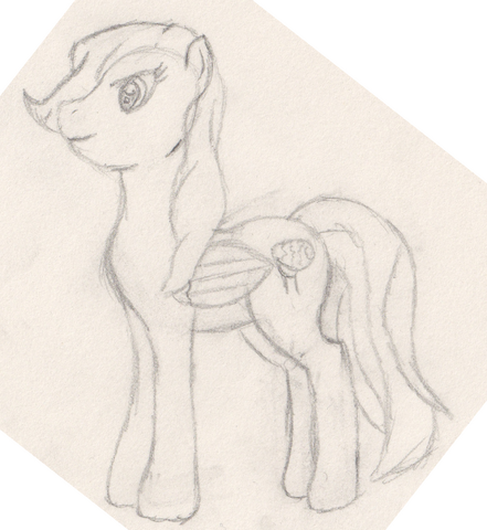 File:Sketch.png