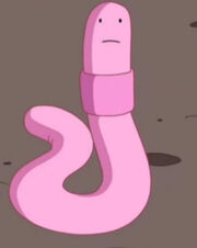 Shelby.jpg