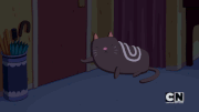 KOT.gif
