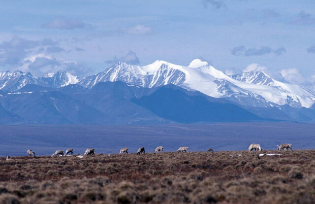 File:Tundra.jpg