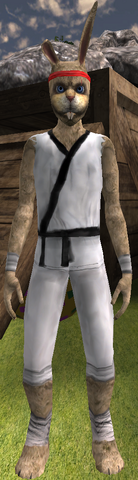 File:Bunny.png