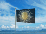 Silver's Savvys flag