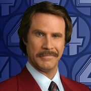 Burgandy