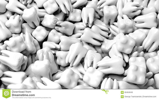 File:Lots of Teeth.jpg