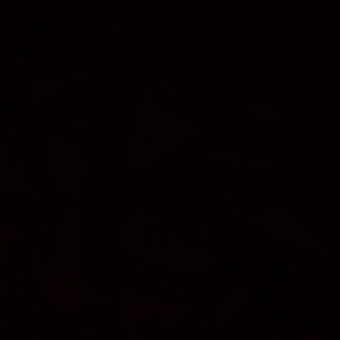 File:A0.jpg