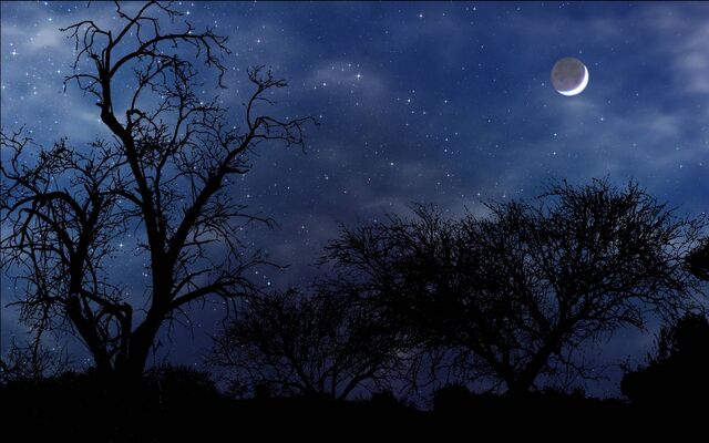 File:Night-time.jpg