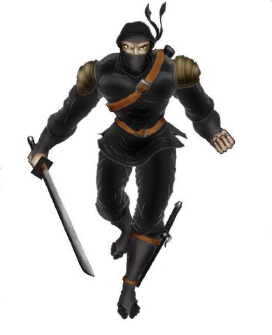File:20070704000157!Ninja.jpg